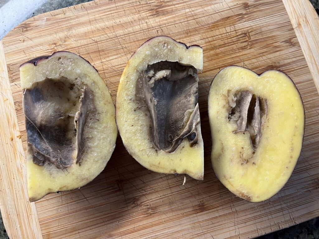 Potatoes with advanced black cavitation chilling injury