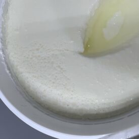 pitting on the surface of freshly opened yogurt