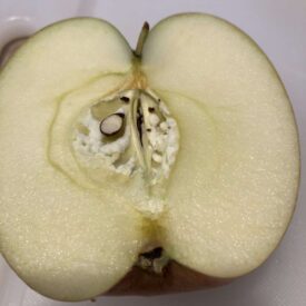 white in apple core