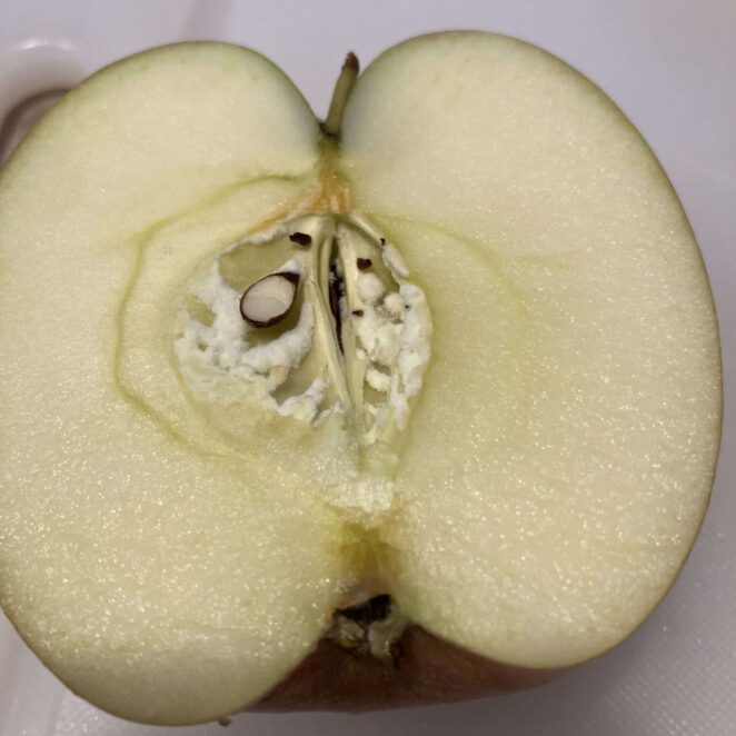 white in apple core