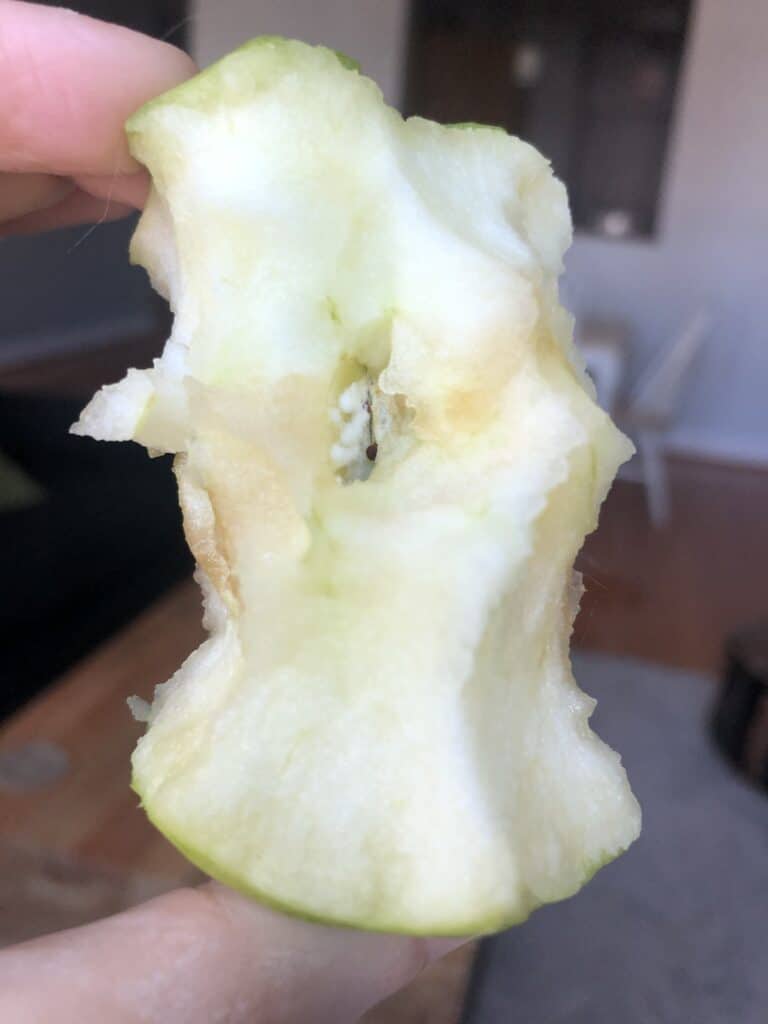 white stuff in nibbled apple core
