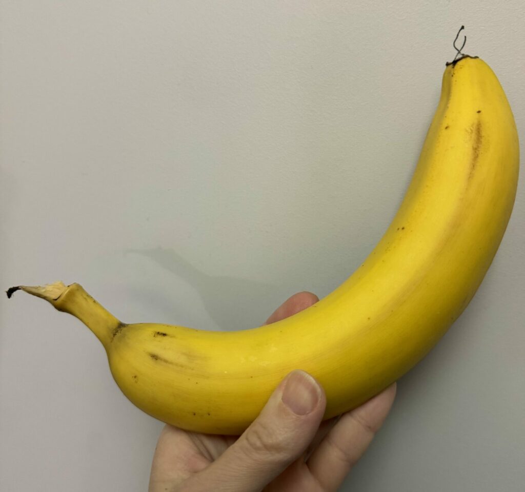 banana with tiny twigs on bottom