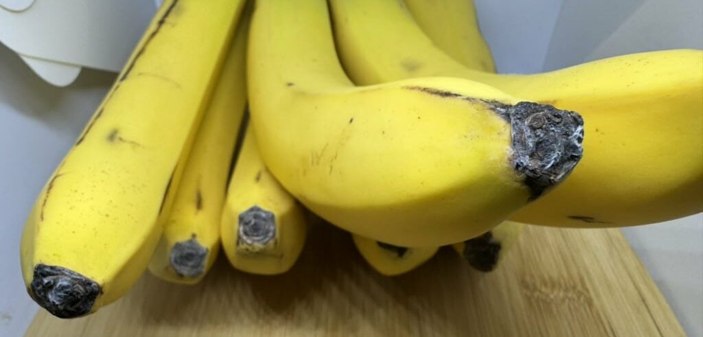 moldy bananas
