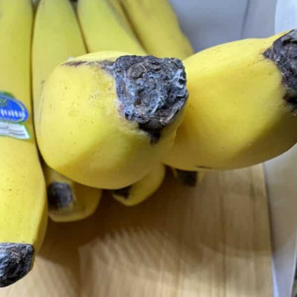 white mold on banana end