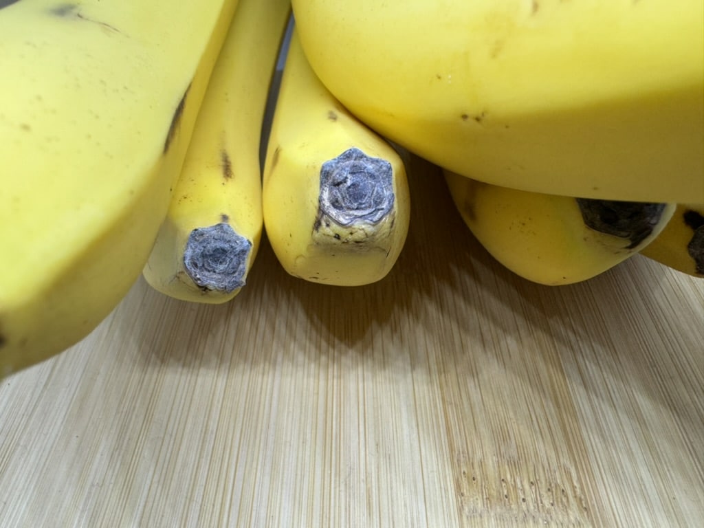 white mold on ends of bananas