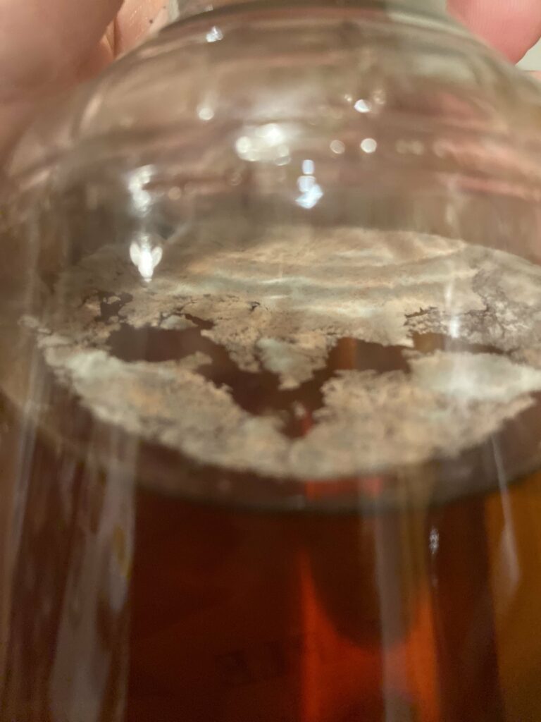 mold on maple syrup