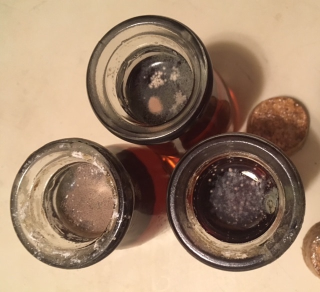 moldy maple syrup examples