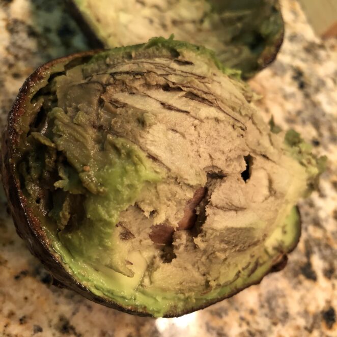 rotten avocado