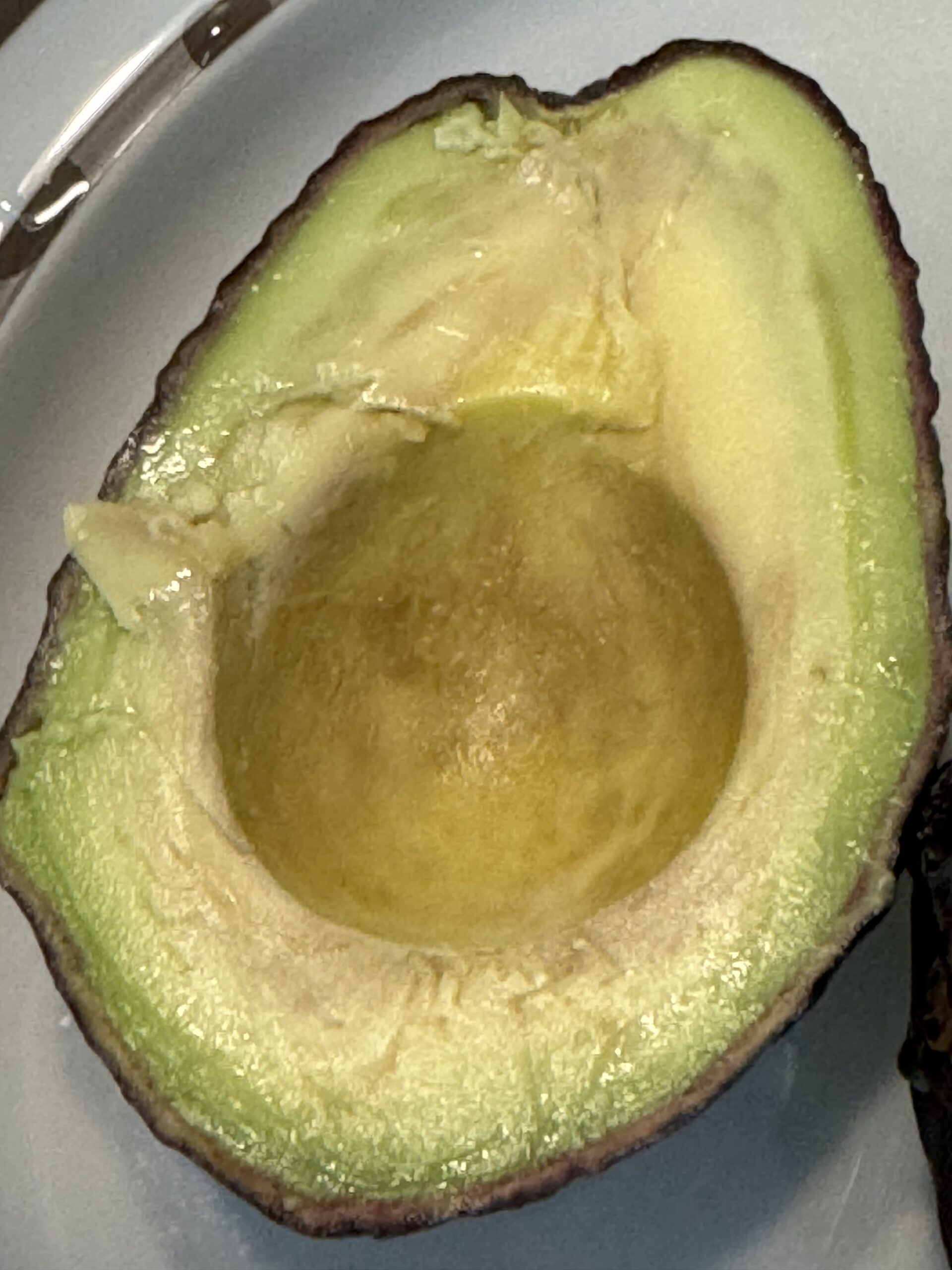gray chilling injury diffuse discoloration avocado