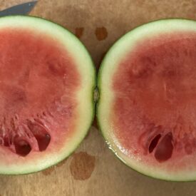 holes in watermelon