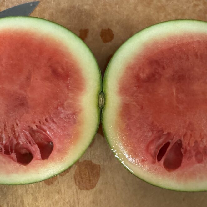 holes in watermelon