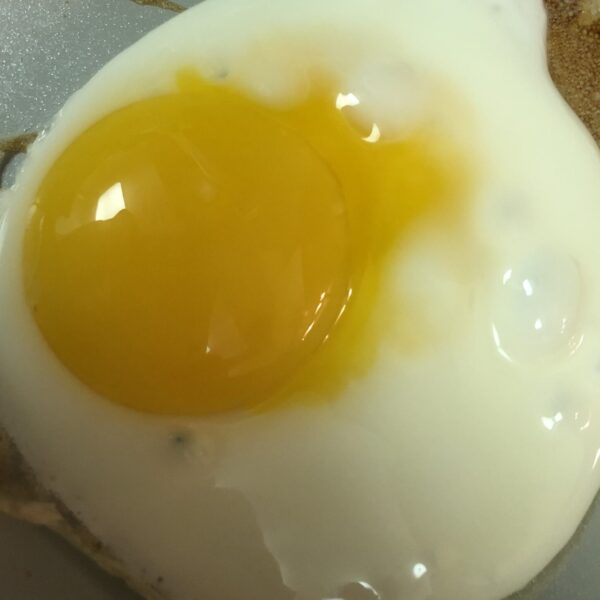 leaky egg yolk