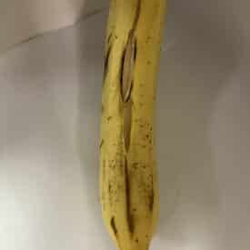 banana with split peel