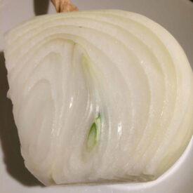 onion with the beginnings of a sprout