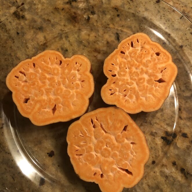 dehydrated sweet potato