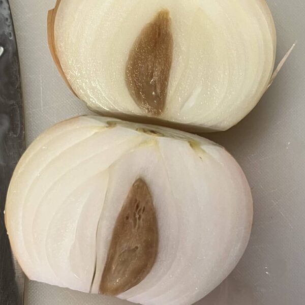 onion center rot